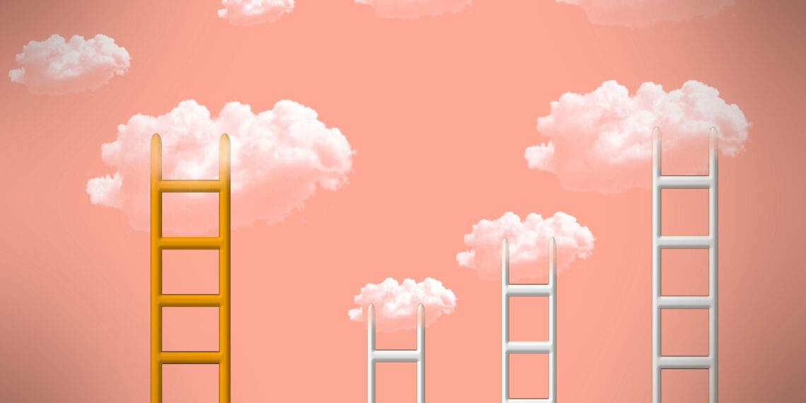 السلم والوظيفي والنساء في منظمات المجتمع المدني