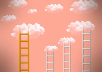 السلم والوظيفي والنساء في منظمات المجتمع المدني